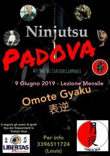 Ninjutsu Padova – Lezione mensile – Omote Gyaku